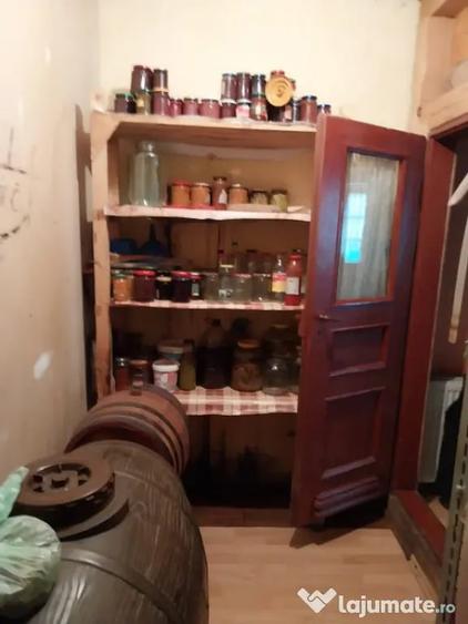 Vila 7 camere, 200 mp, zona Maneciu Pamanteni - 1