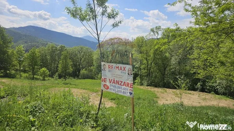 Teren în Chirițeni