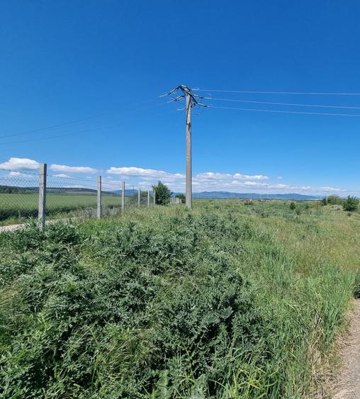Teren Construcții de 4246 mp, în Petrești