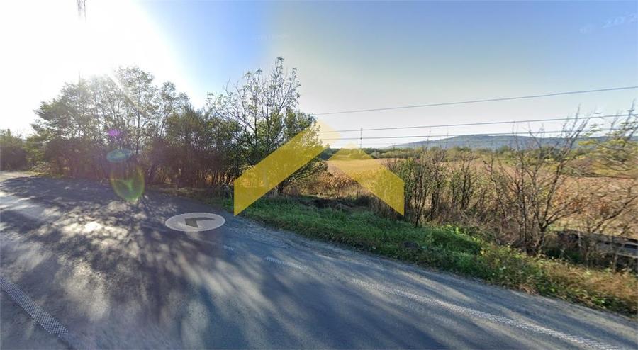 Teren Construcții intravilan de 4000 mp, în Bârzava