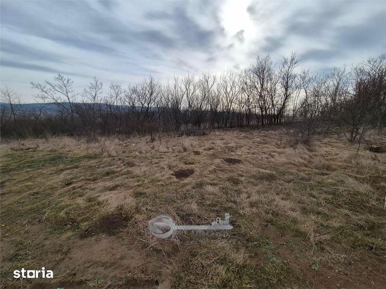 Teren de 493 mp, în Ciurea