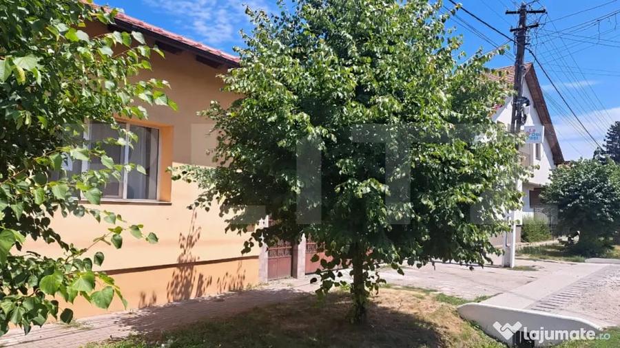 Spațiu comercial, de 7,900 mp, în Botiz