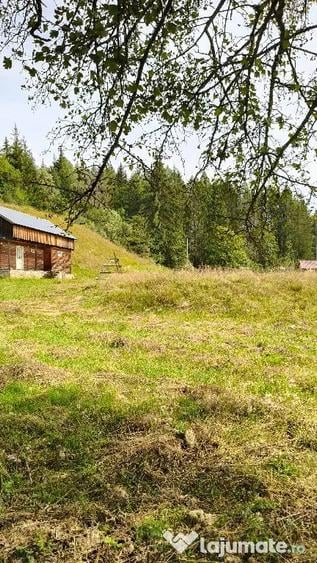 Teren de 4080 mp, în Valea Doftanei