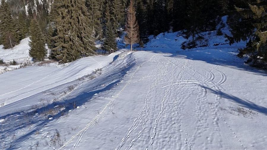 Vand /schimb cu auto teren 3,6 ha cu Lac INTRAVILAN munte Bucovina - 8