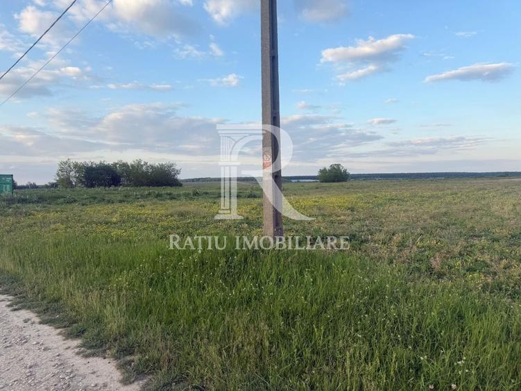 Teren agricol extravilan de 1923 mp, în Păușa