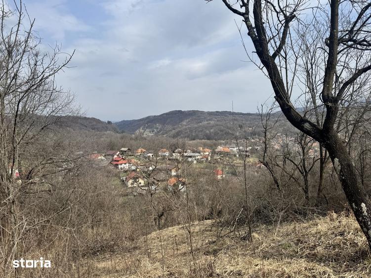 Teren de 4830 mp, în Godeni