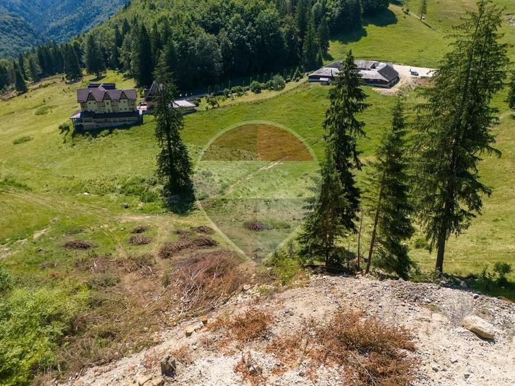 Teren de 52519 mp, în Dâmbovicioara