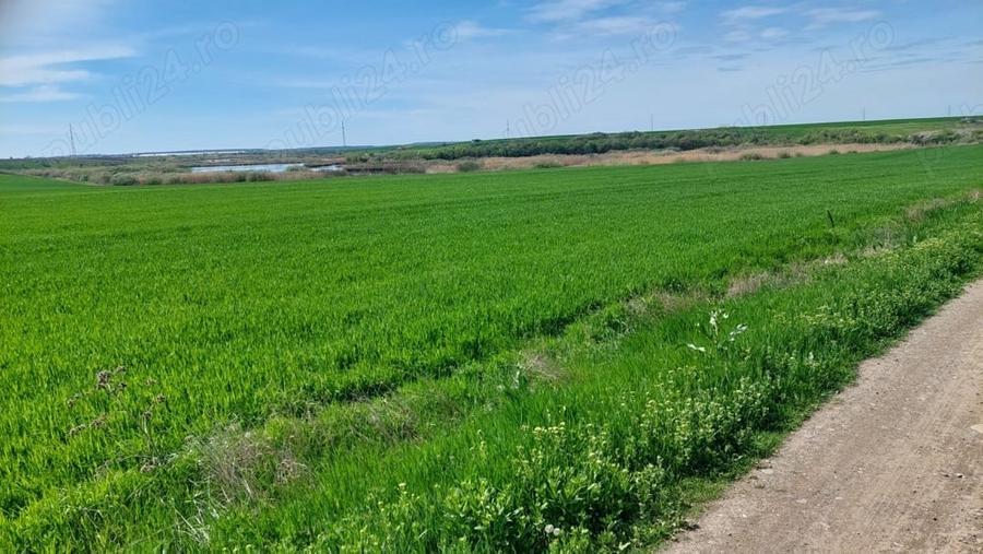 Teren de 20000 mp, în Vadu Anei