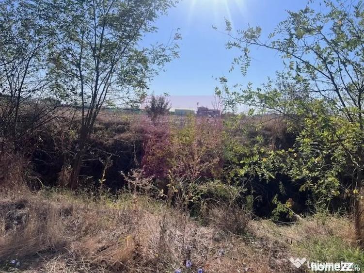 Teren de 6200 mp, în Cornetu