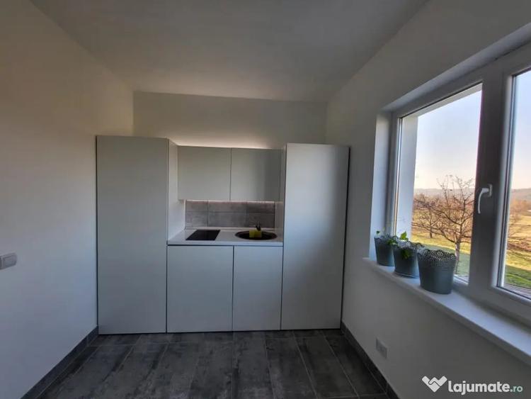 Casă cu 3 camere cu Teren 700 Mp în Dumbrăvița