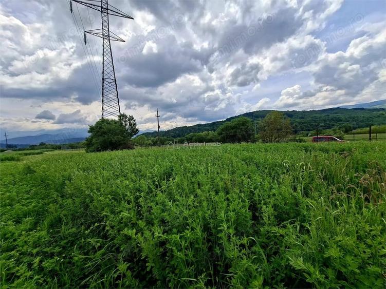 Teren de 500 mp, în Periferie