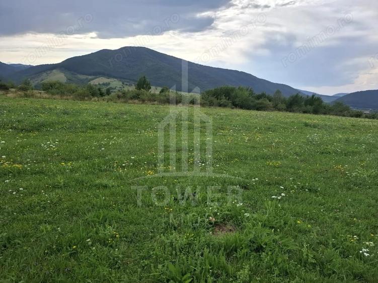 Teren de 1500 mp, în Orlat