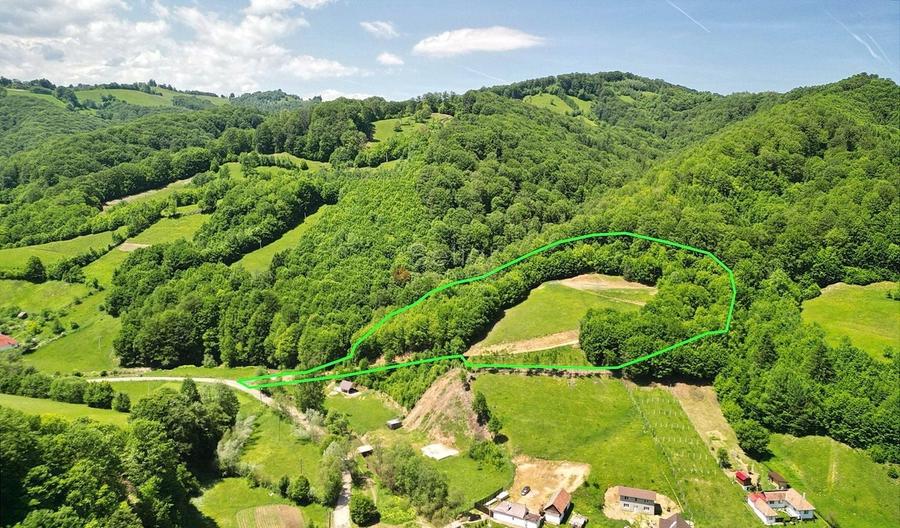 Teren Construcții extravilan de 16000 mp, în Poiana Mărului
