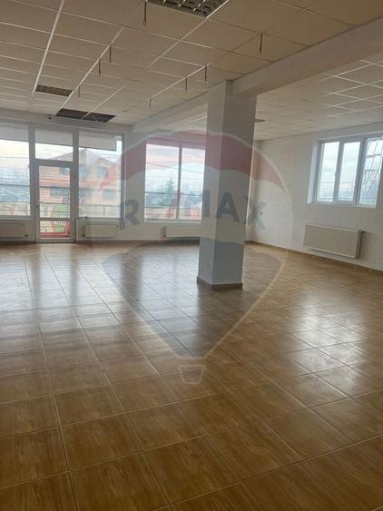 Casă individuală cu 11 camere cu Teren 4200 Mp în Corbeanca