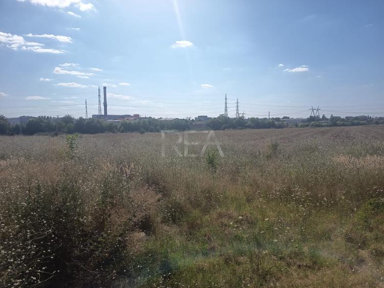 Teren Construcții intravilan de 31136 mp, în Popești-Leordeni