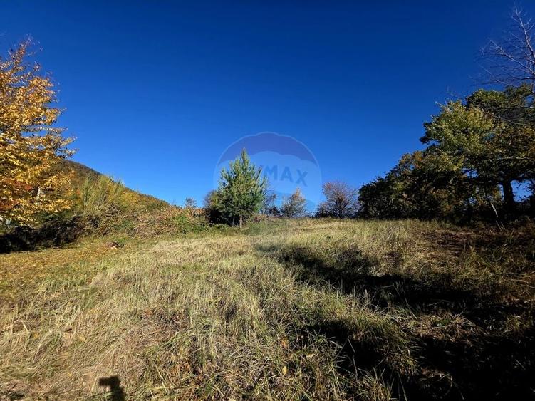 Casă individuală cu 5 camere cu Teren 2700 Mp în Alexandru cel Bun