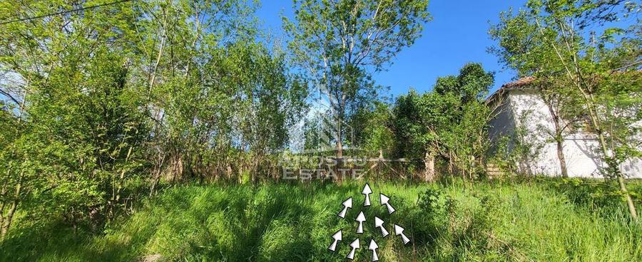 Teren intravilan, In Rate Cuied Arad - 2