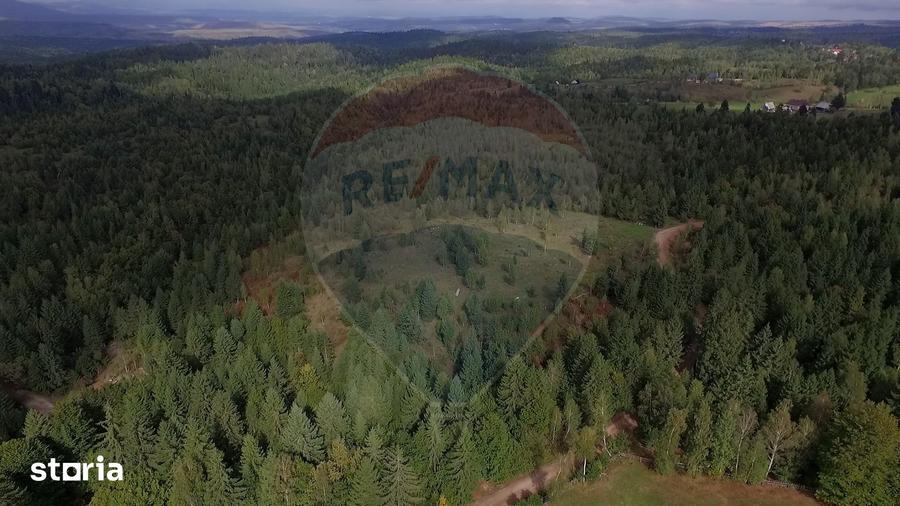 Teren extravilan parcelabil Cala?ele Padure, zona Dealu Negru - 2