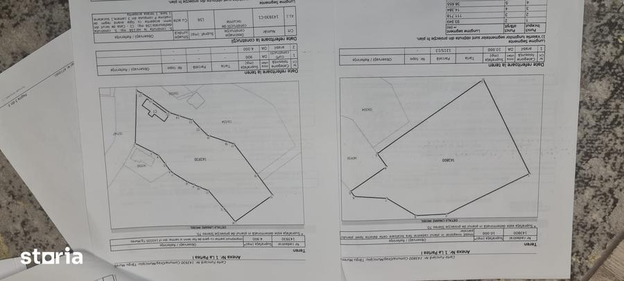 Teren de 15000 mp, în Mureșeni
