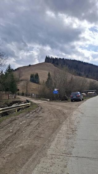 Teren de 716 mp, în Poiana Teiului