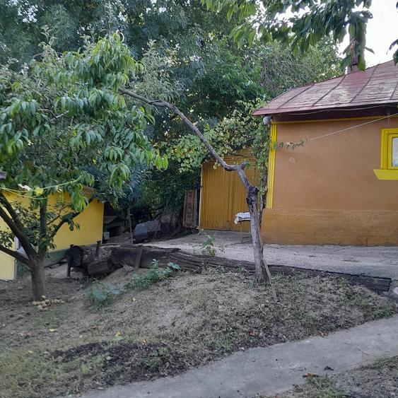 Casă cu 2 camere cu Teren 6700 Mp în Cozia