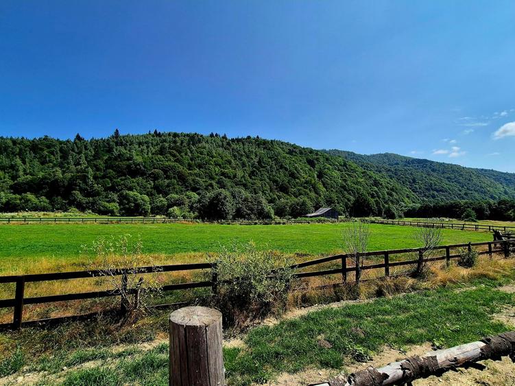 Teren Construcții intravilan de 5700 mp, în Plaiul Foii