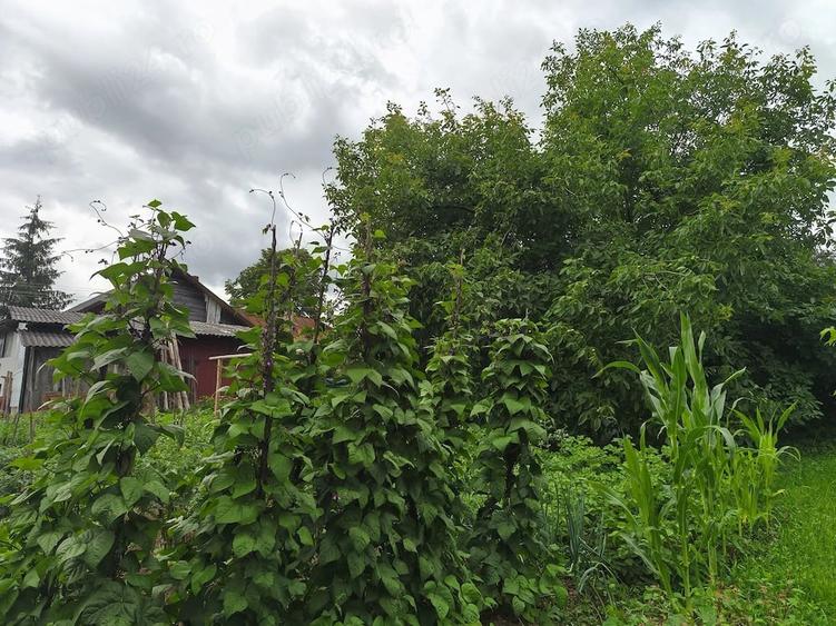Casă cu Teren 1100 Mp în Nord