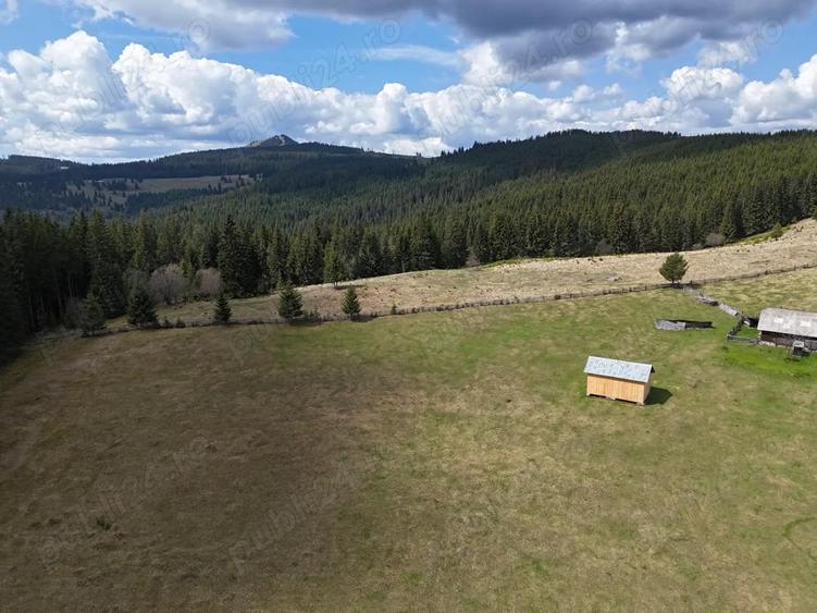 Teren de vanzare 15 hectare in Bucovina Moldova Sulita zona Lucina - 6