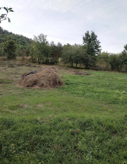Teren de 16600 mp, în Bisoca