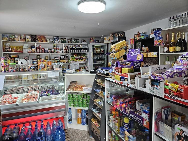 Casă cu Teren 2500 Mp în Căzănești