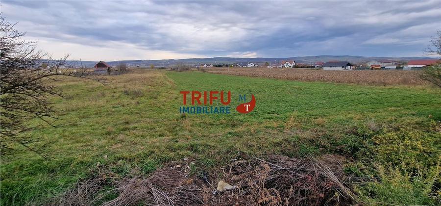 Teren Construcții intravilan de 2160 mp, în Partoș