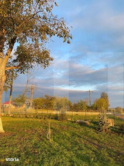 Casă cu 5 camere cu Teren 1400 Mp în Dorohoi