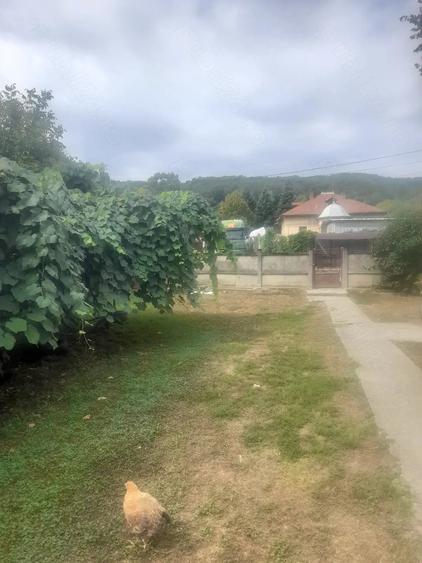 Casă cu Teren 750 Mp în Micești