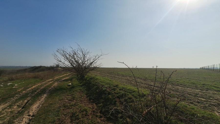Teren Construcții intravilan de 6650 mp, în Bălăceanca