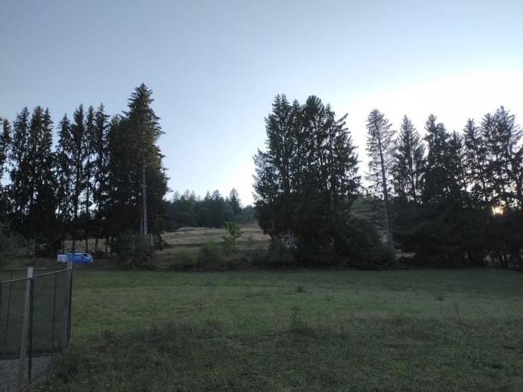 Teren intravilan Holbav - 2
