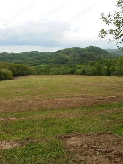 Teren de 20000 mp, în Rădulești