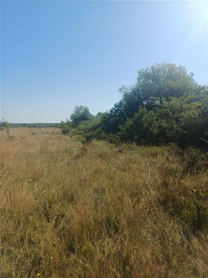 Teren agricol intravilan de 600 mp, în Periferie