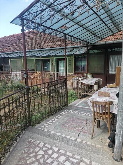 Vand casa mare in Ionesti Halmagiu - 2