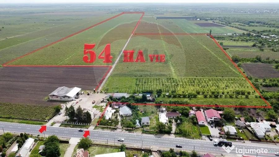 Teren de 540286 mp, în Urechești