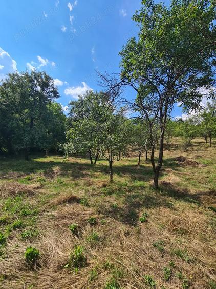 Teren de 3900 mp, în Central