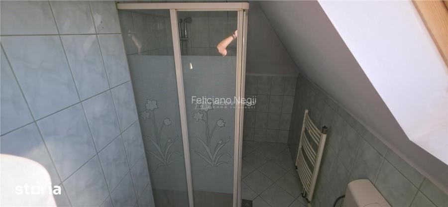 Remetea Mare | Casa individuala, P+M | 1219 mp, Comision ZERO Cumpara