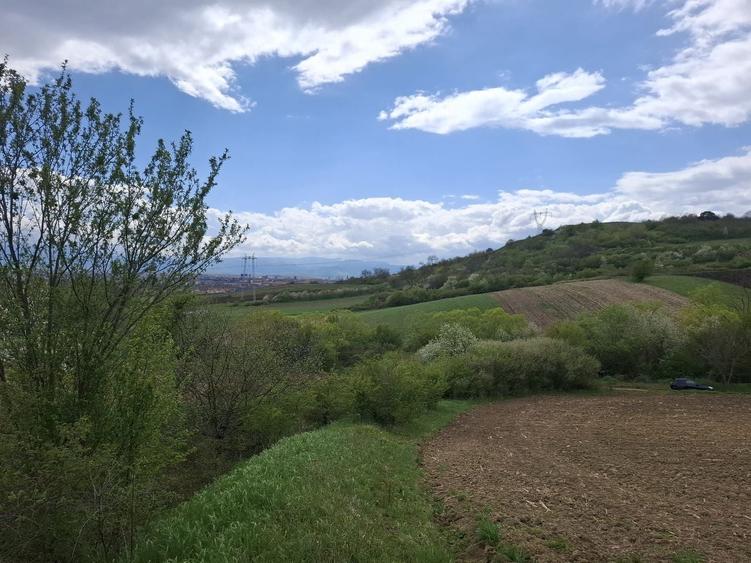 Teren agricol extravilan de 18175 mp, în Gușterița