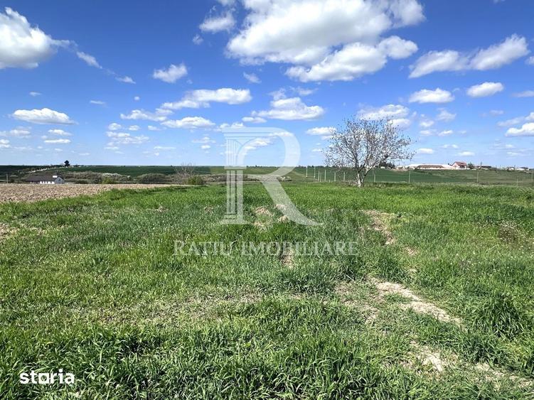Teren de 2033 mp, în Tămășeu