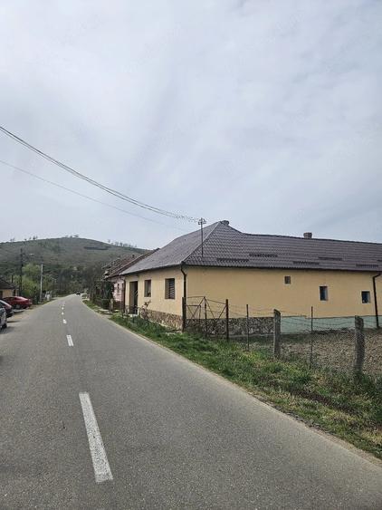 Teren de 2200 mp, în Petrani