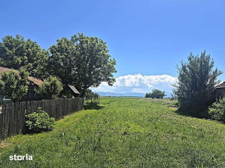 Teren de 1128 mp, în Ilieni
