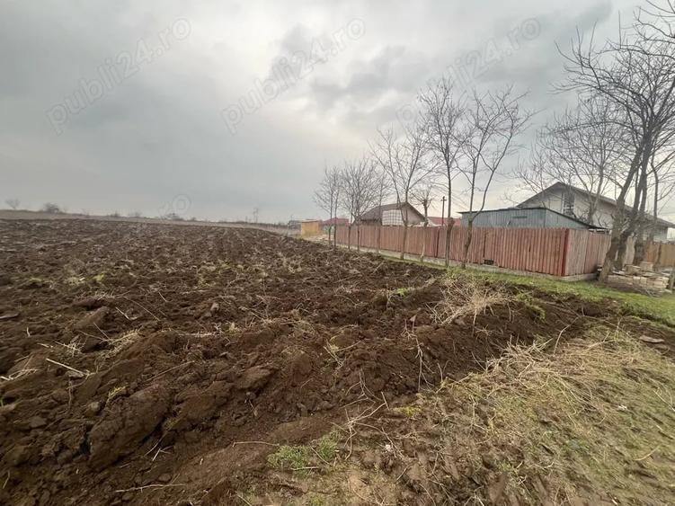 Teren de 2000 mp, în Vasile Alecsandri