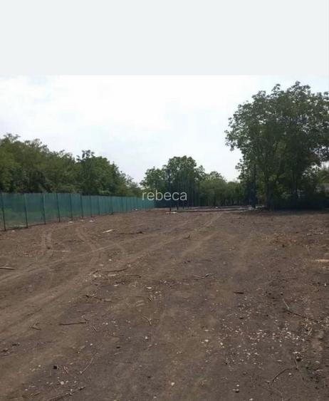 TEREN Intravilan 2.001 MP Str Padurii, Buftea | 65.000 NEGOCIABIL