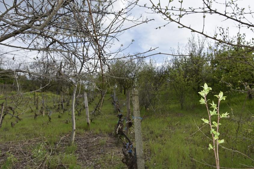 Casă individuală cu 3 camere cu Canalizare în Sud-Est