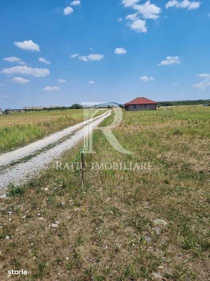 Teren intravilan | Cihei | Bihor - 1