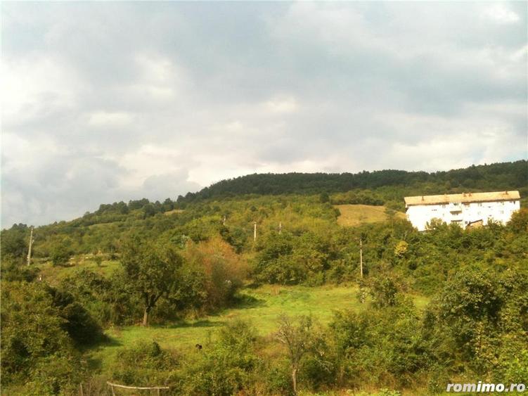 Vand teren intravilan 1,4 ha, Mehadia, Caras-Severin - 3